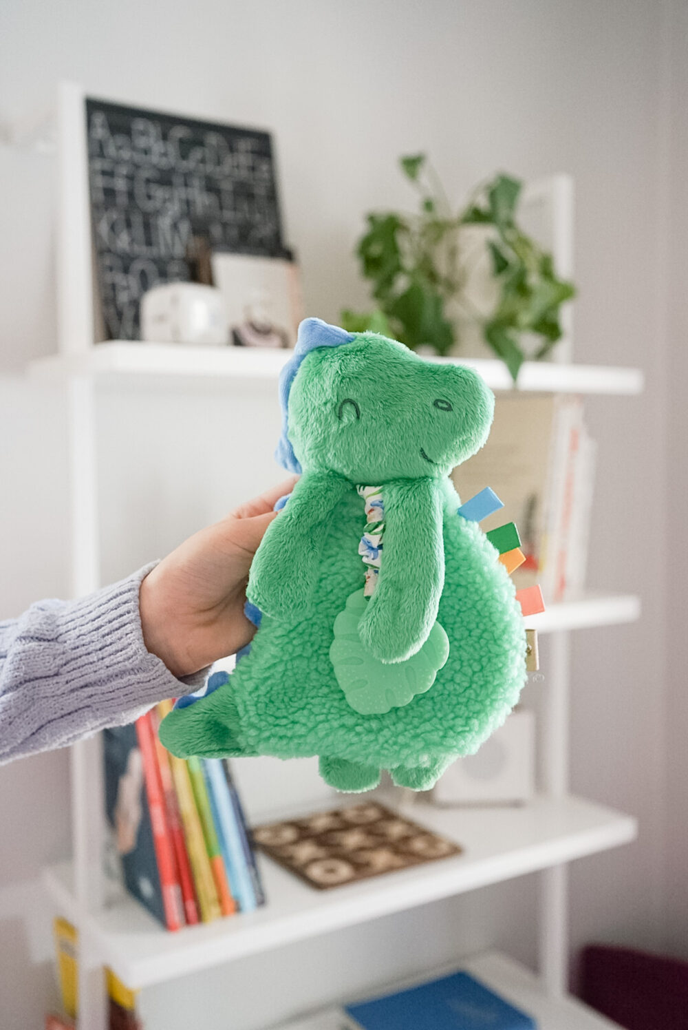 A person holds a green dinosaur stuffed toy in a room with white shelves. The shelves contain books, plants, and decorative items.