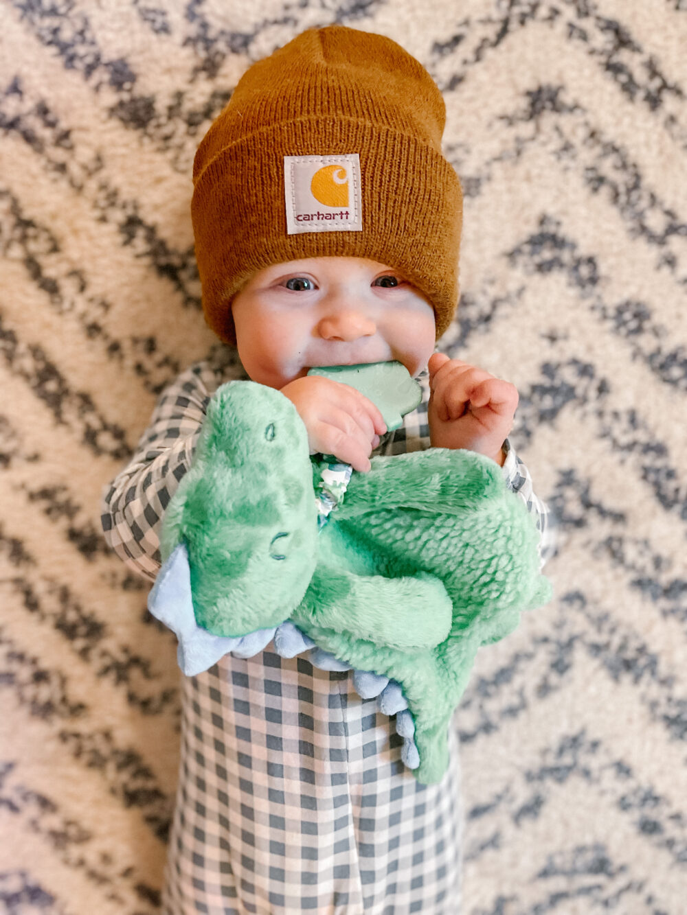 A baby, wearing a brown beanie and checkered outfit, smiles while holding and chewing on a green stuffed animal, standing in front of a patterned background.