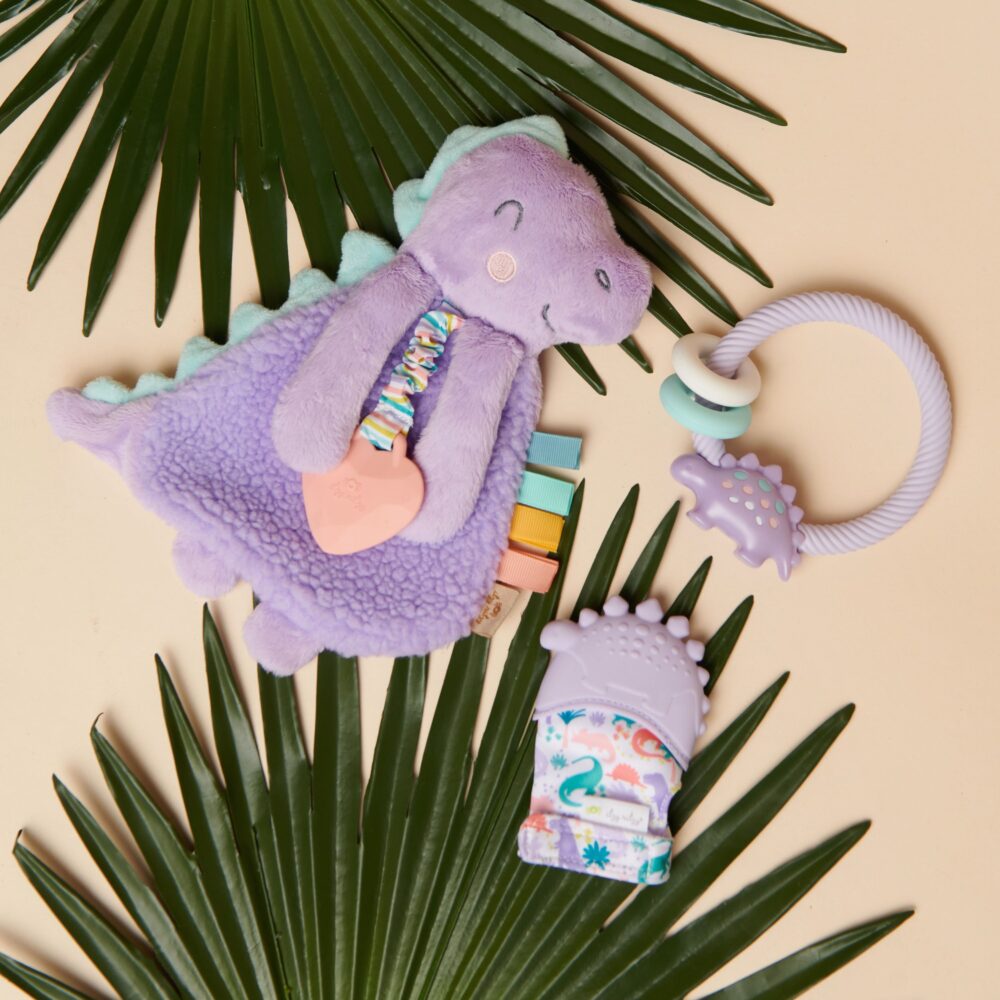 A purple dinosaur plush toy, a lavender teething ring with beads, and a dinosaur-themed baby mitten are arranged on palm leaves.