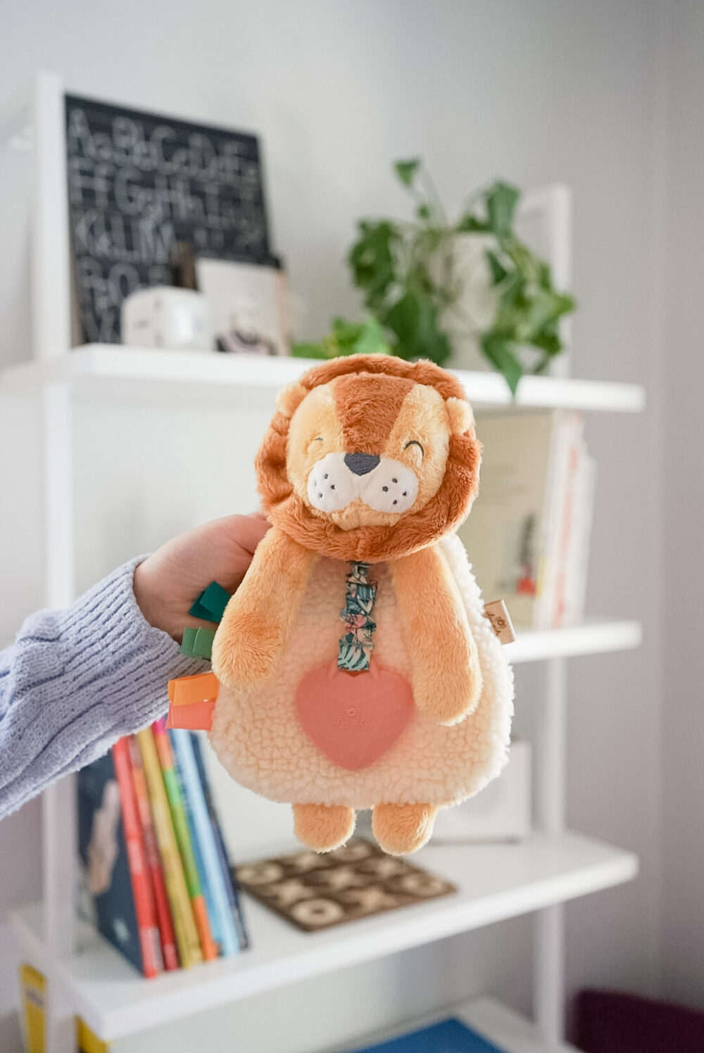 A person holding a plush lion toy in front of a white bookshelf containing books, a potted plant, and decorative items.