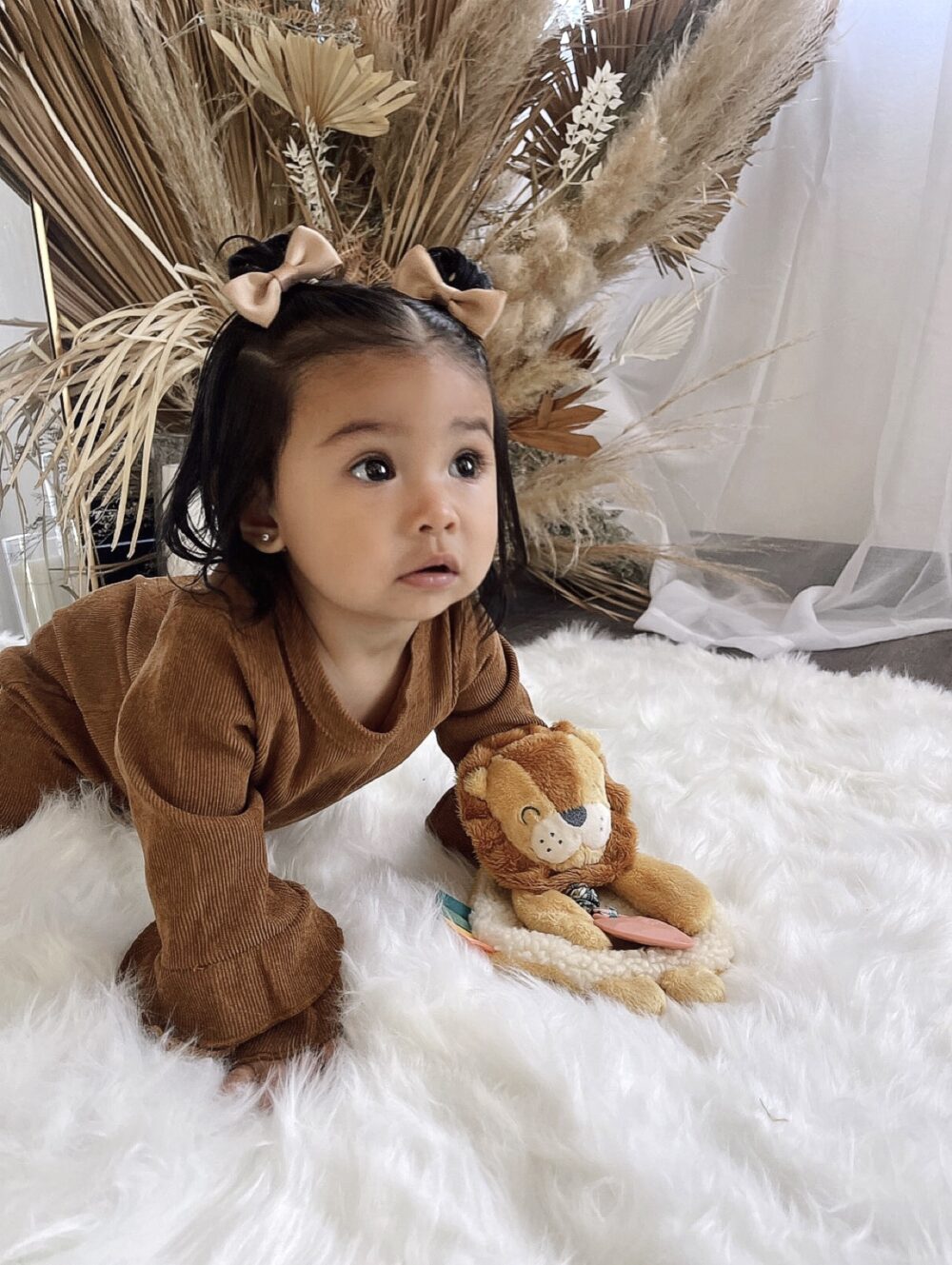 A toddler with bows in her hair and wearing a brown outfit is crawling on a white fluffy rug. She is holding a plush lion toy. Dried brown plants and sheer curtains are in the background.